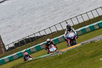 PJ-Motorsport-2019;anglesey-no-limits-trackday;anglesey-photographs;anglesey-trackday-photographs;enduro-digital-images;event-digital-images;eventdigitalimages;no-limits-trackdays;peter-wileman-photography;racing-digital-images;trac-mon;trackday-digital-images;trackday-photos;ty-croes